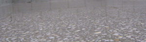 Polished Concrete example by Surface Archetypes